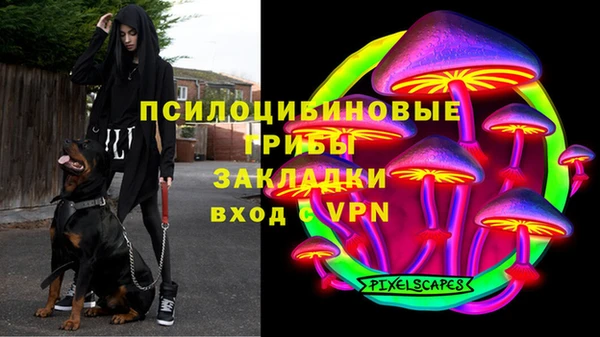 PSILOCYBIN Володарск