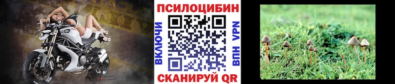 Галлюциногенные грибы Cubensis  Армавир 